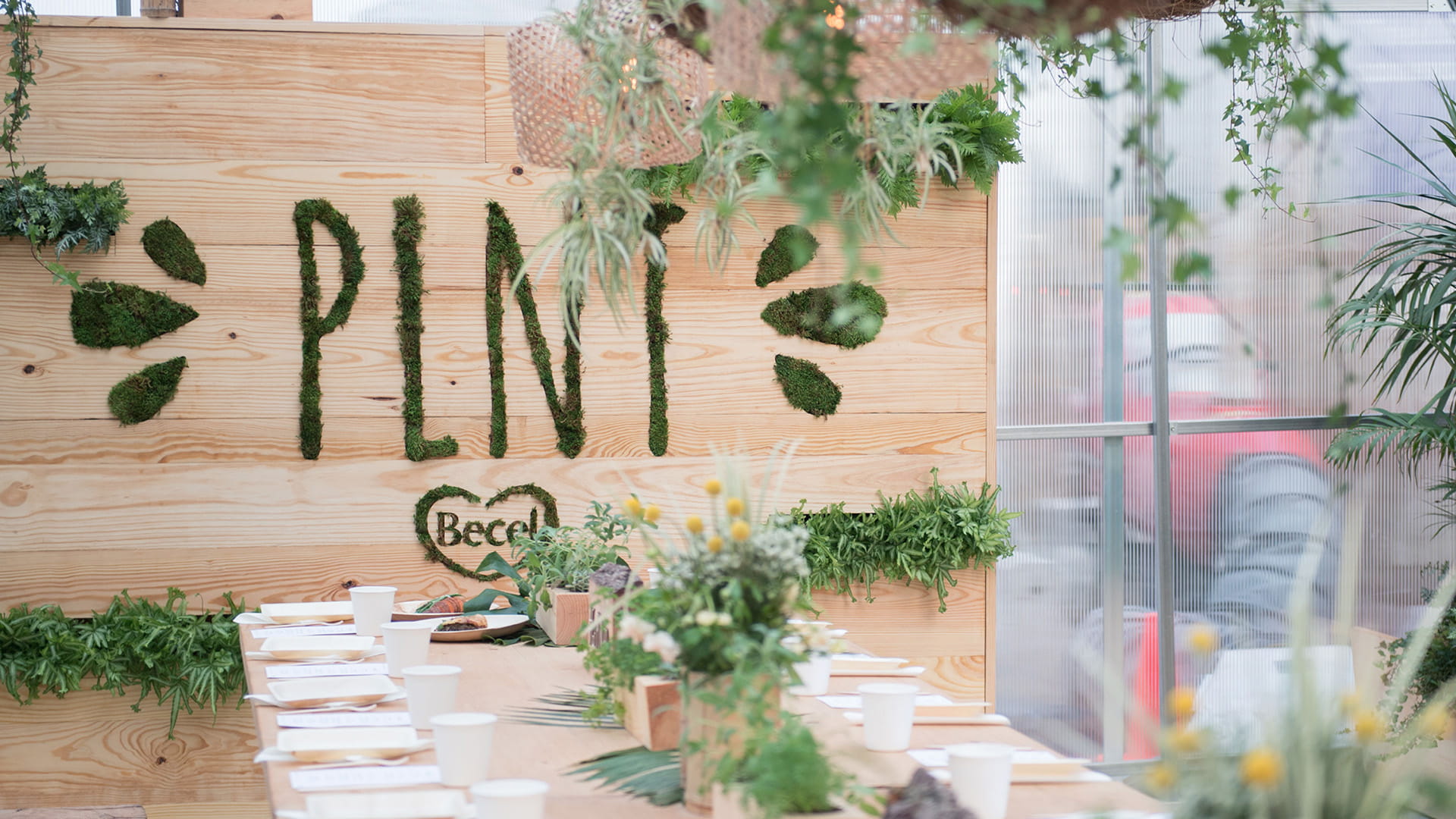 Article, A restaurant interior made entirely of plants