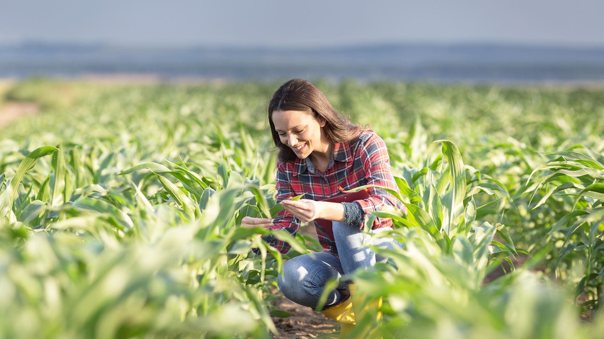 Article, Plant-based diets for a more sustainable future