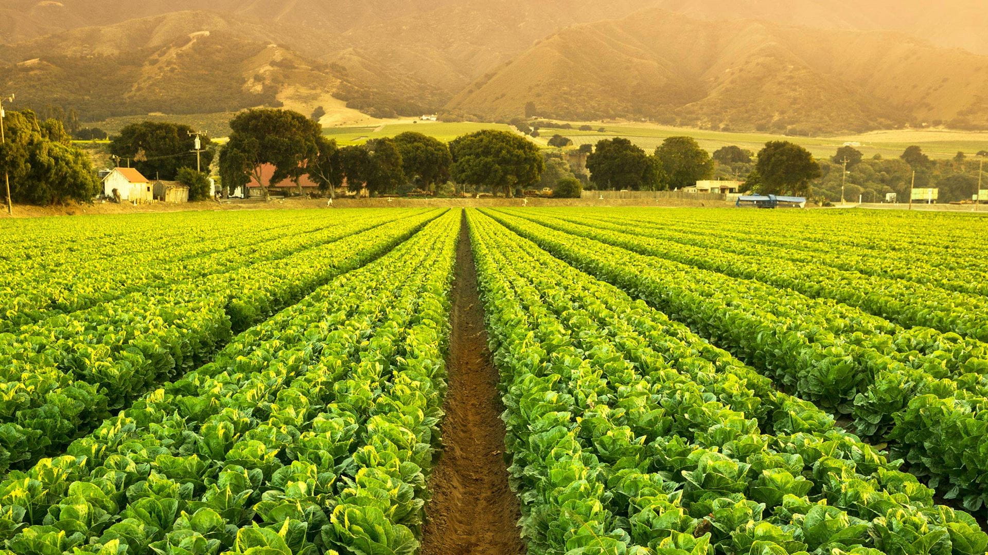 Article, Becel’s Commitment to a Sustainable Future